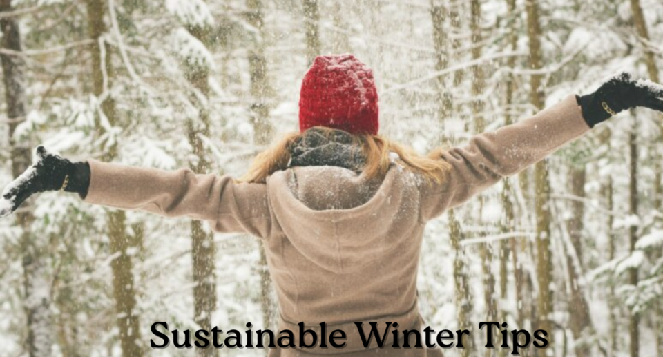 Living Sustainably in Winter